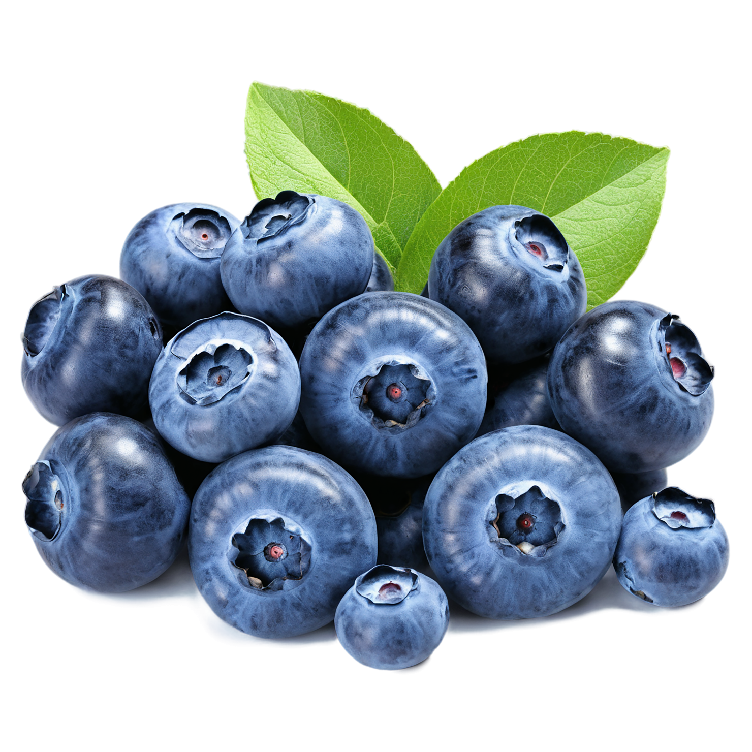 Blueberry fruit isolated on transparent background #504