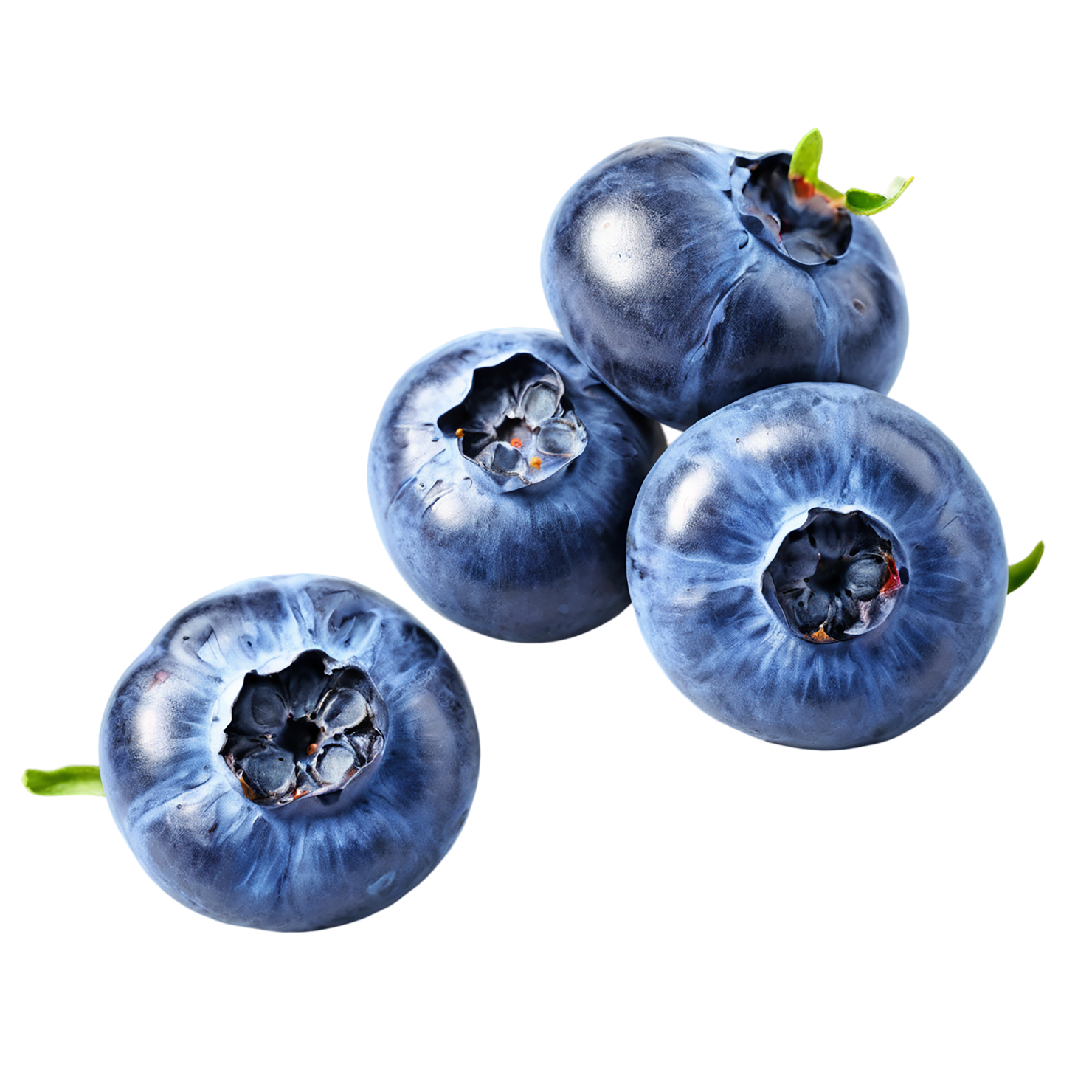 Blueberry fruit isolated on transparent background #505