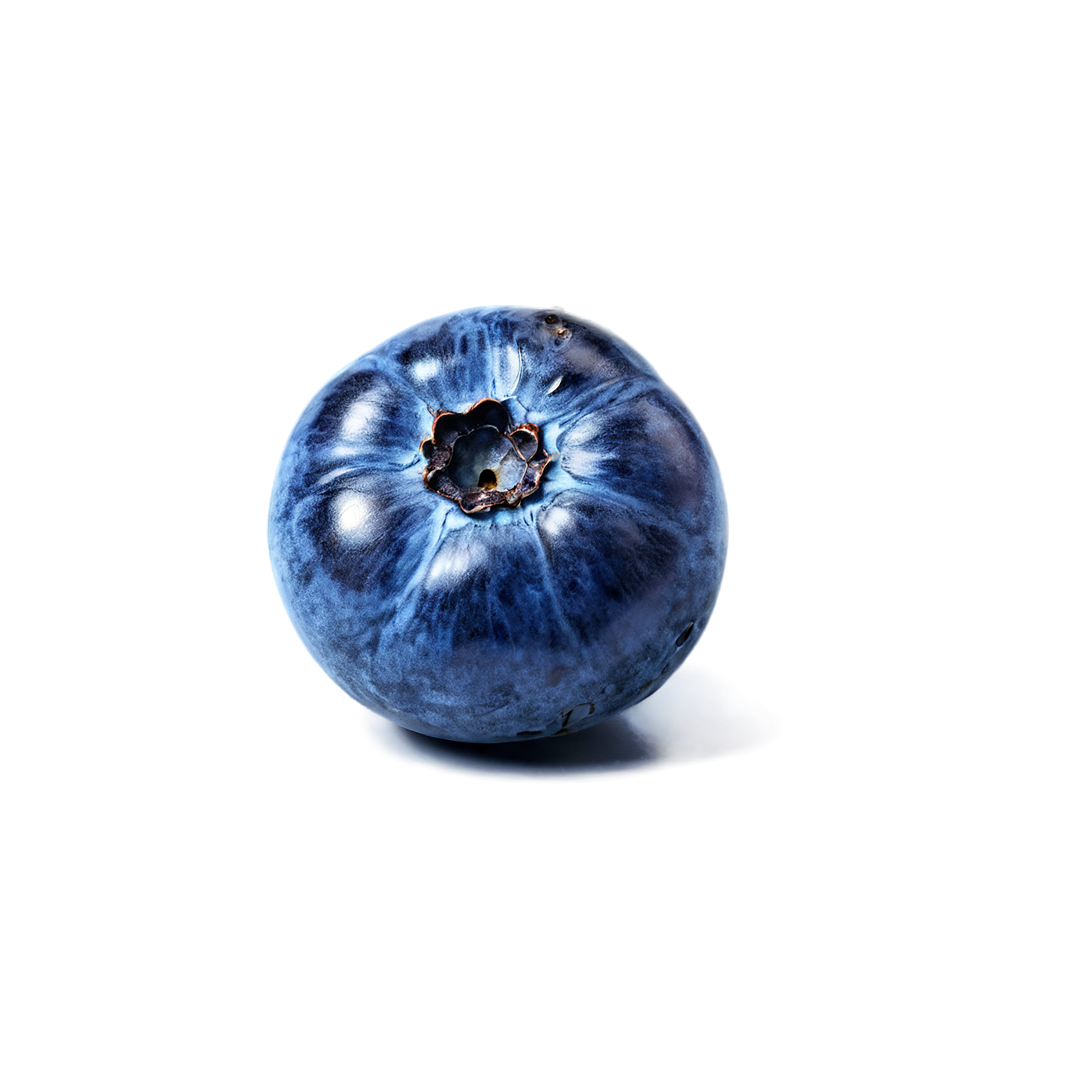 Blueberry fruit isolated on transparent background #508