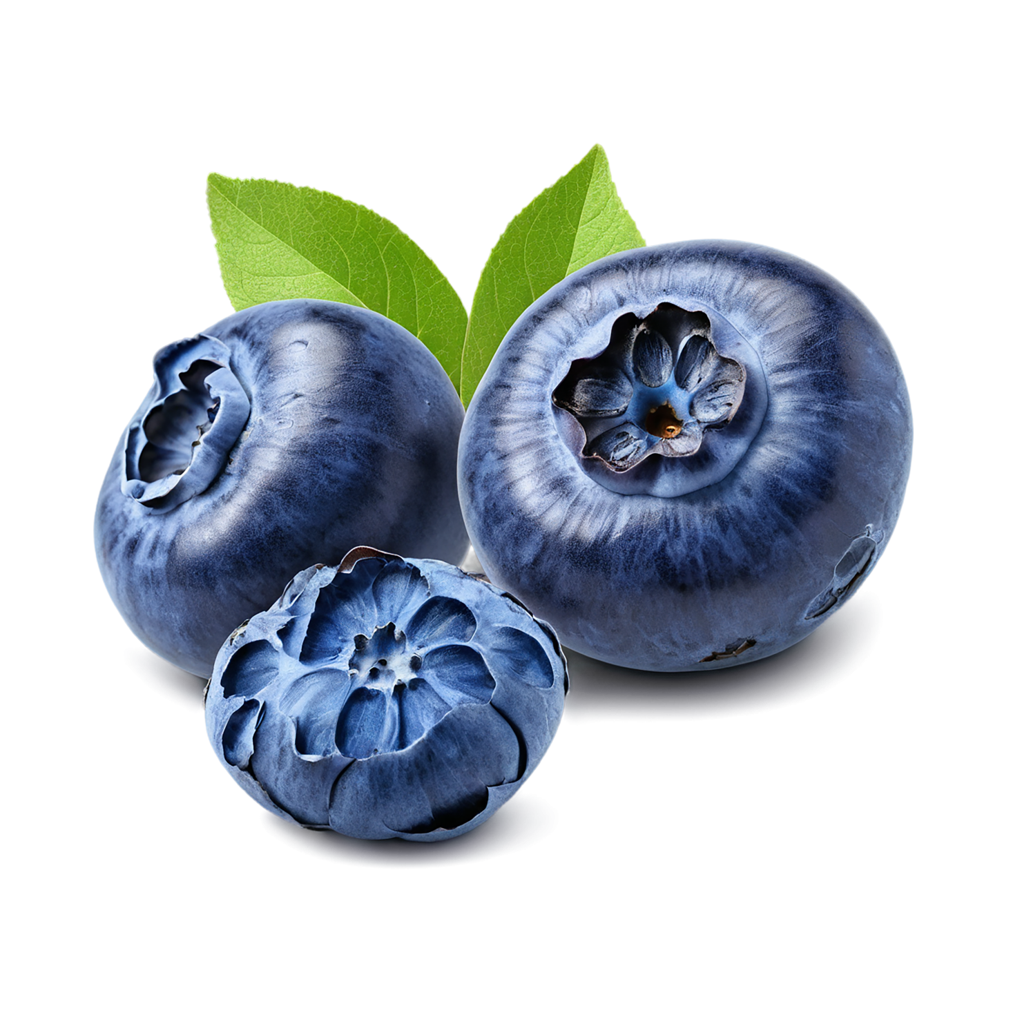 Blueberry fruit isolated on transparent background #513