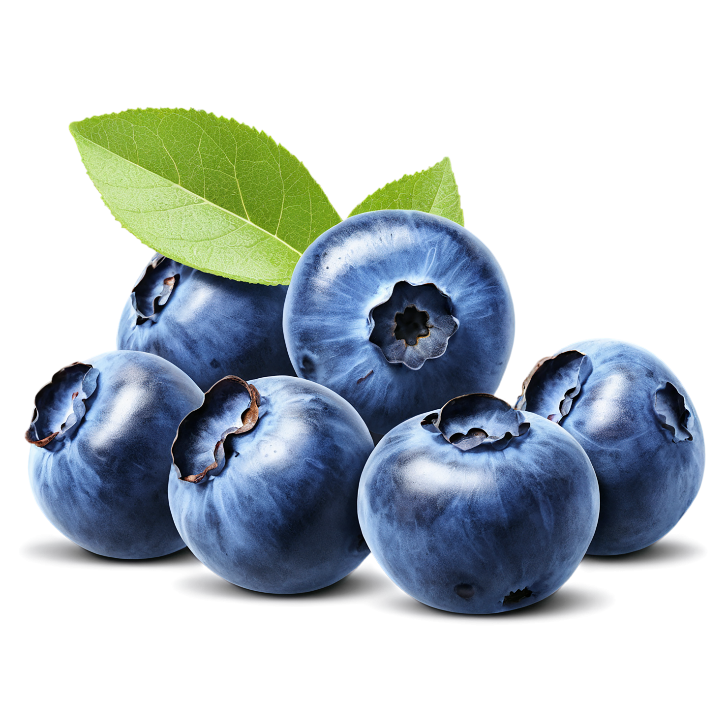 Blueberry fruit isolated on transparent background #515