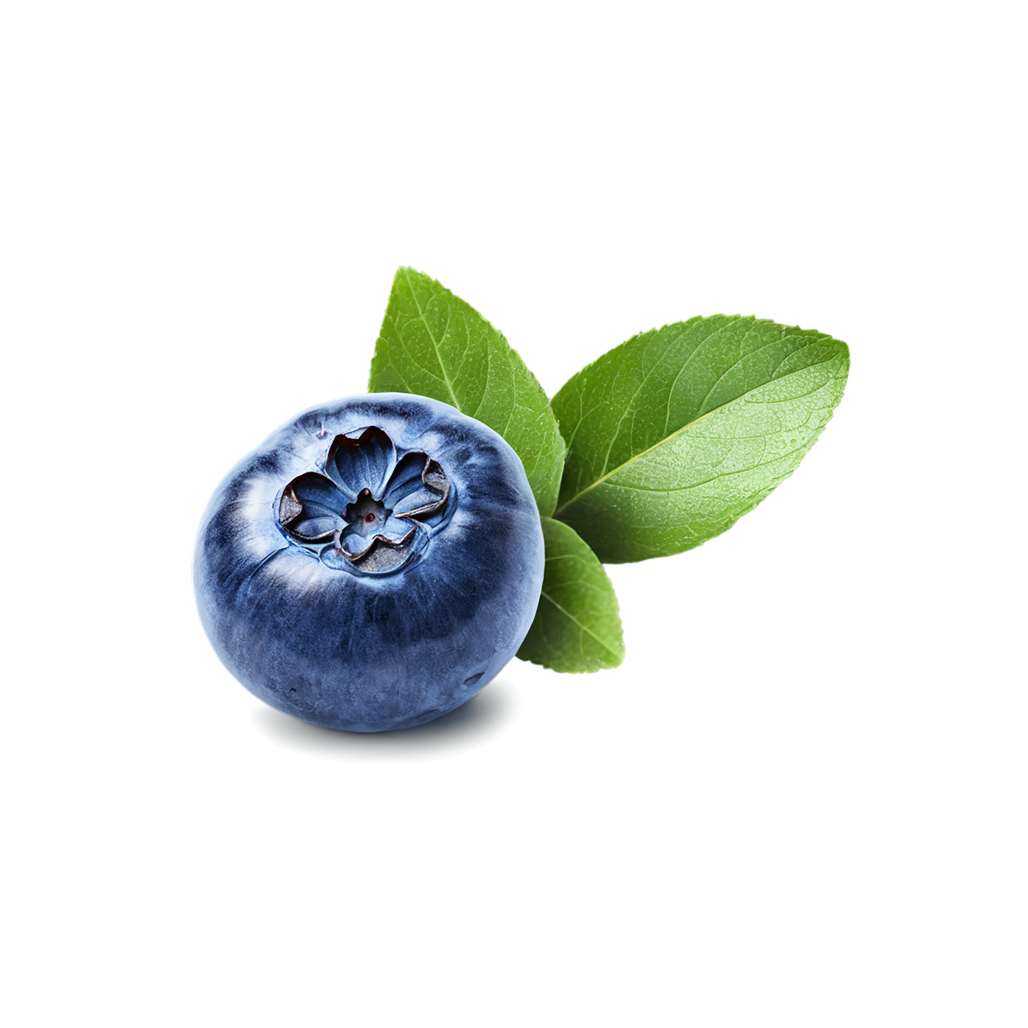 Blueberry fruit isolated on transparent background #516