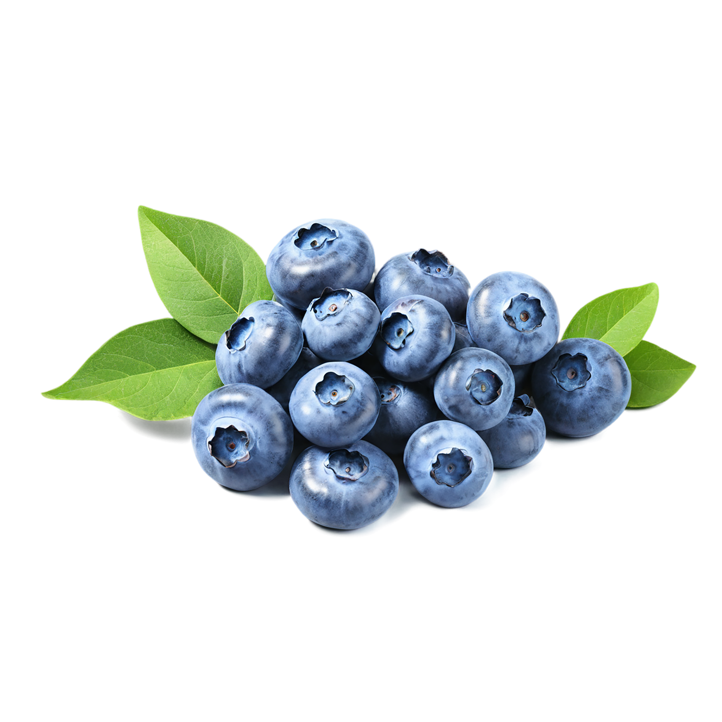 Blueberry fruit isolated on transparent background #517