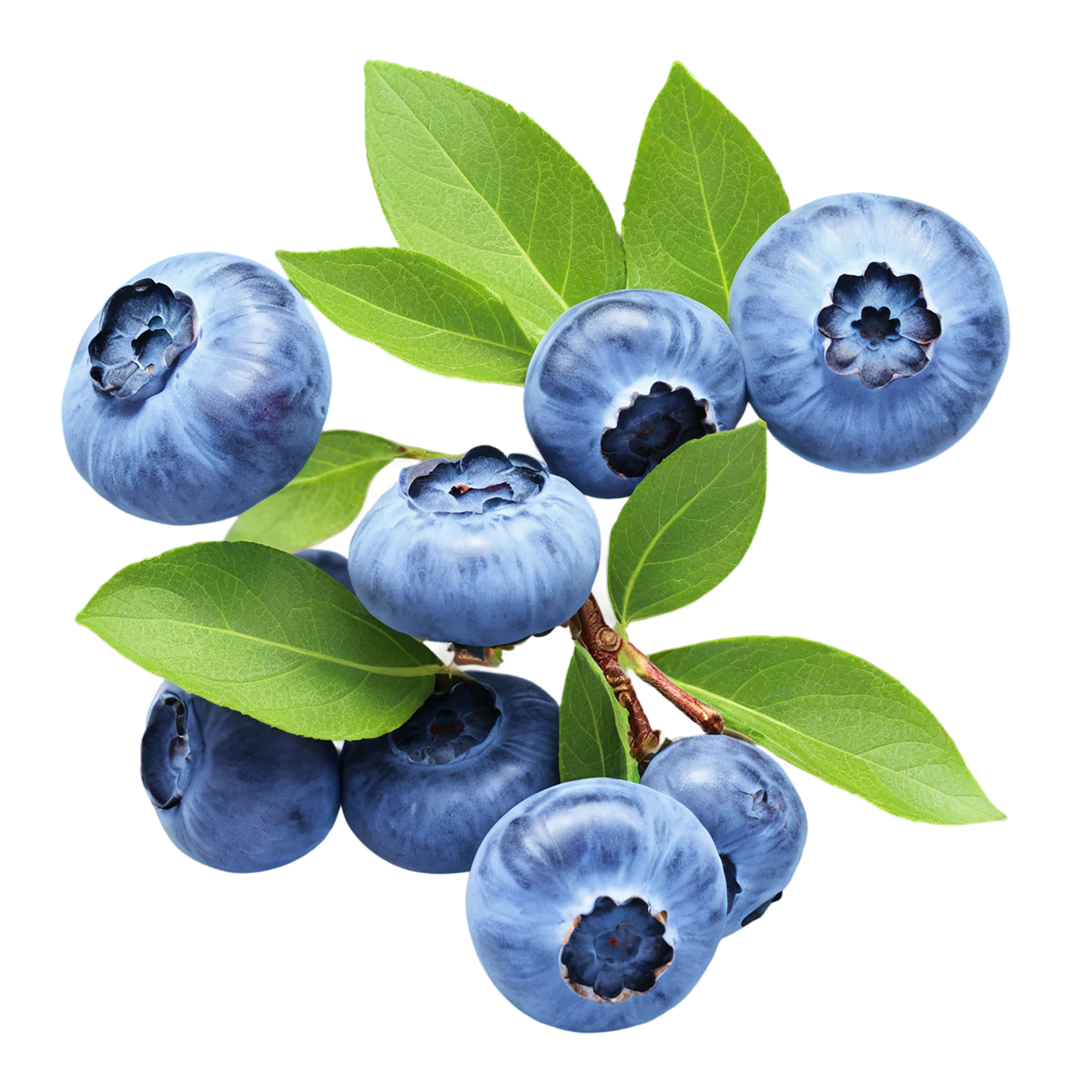 Blueberry fruit isolated on transparent background #518