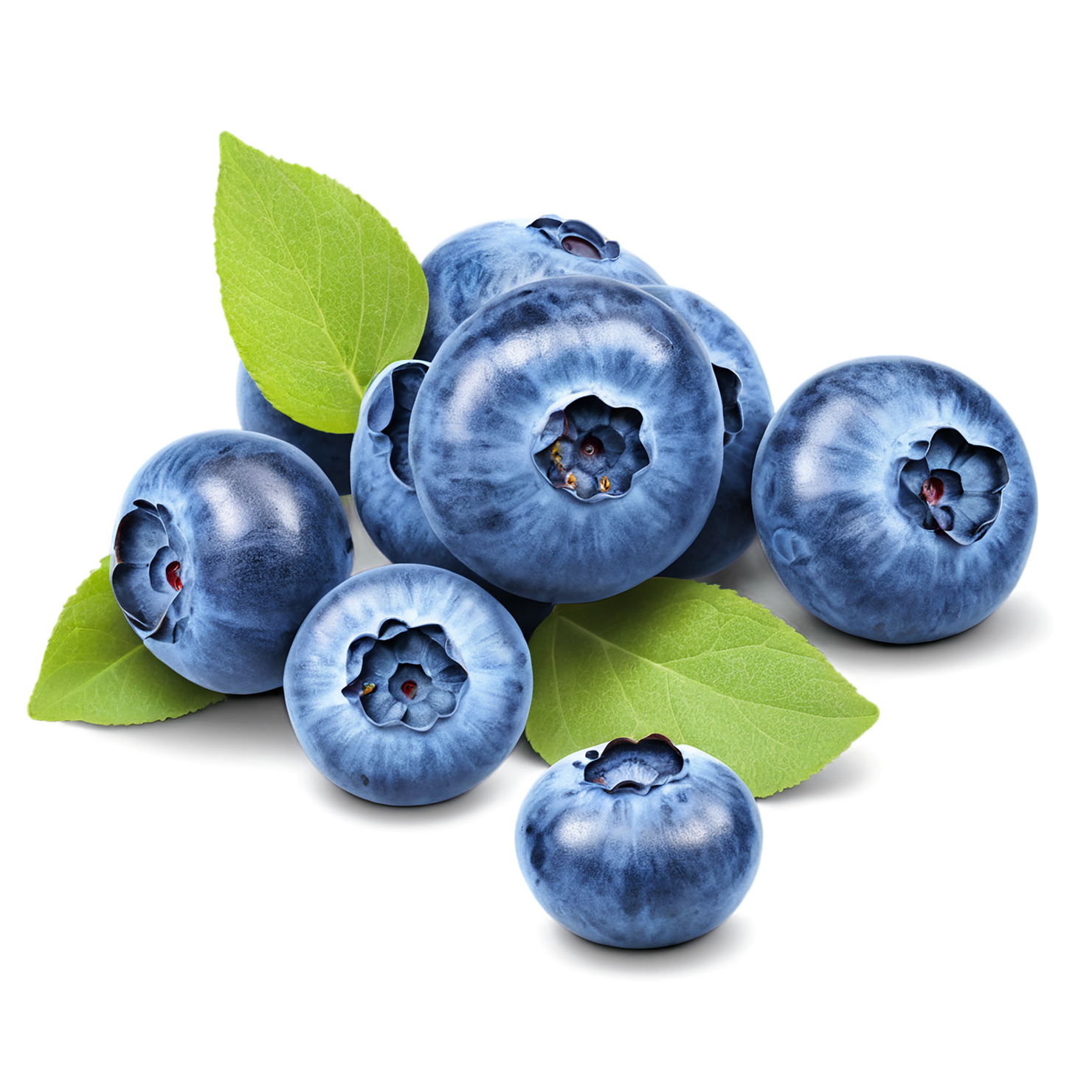 Blueberry fruit isolated on transparent background #523