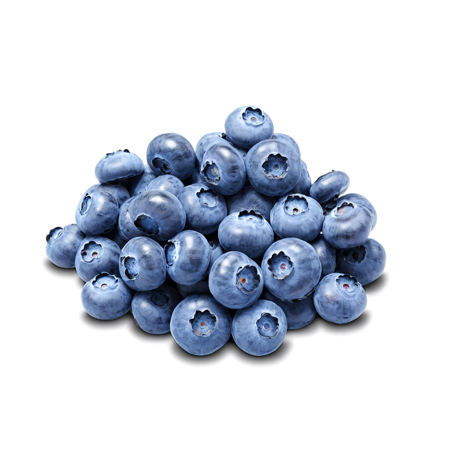 Blueberry fruit isolated on transparent background #525