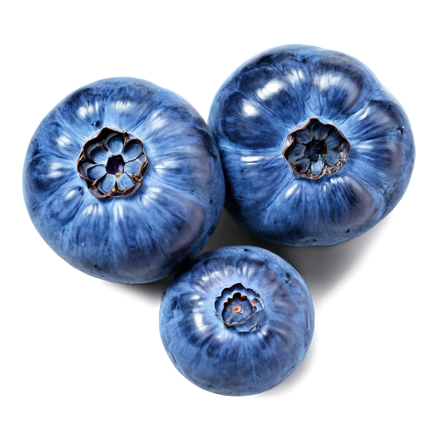 Blueberry fruit isolated on transparent background #527