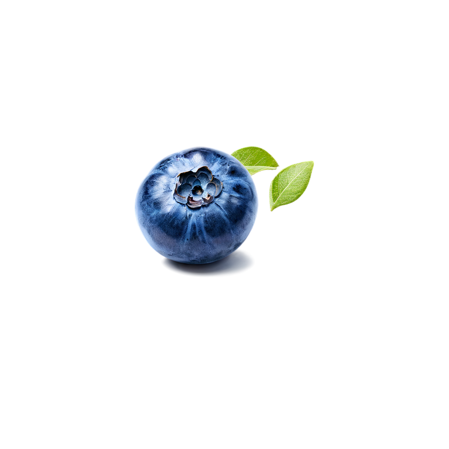 Blueberry fruit isolated on transparent background #528