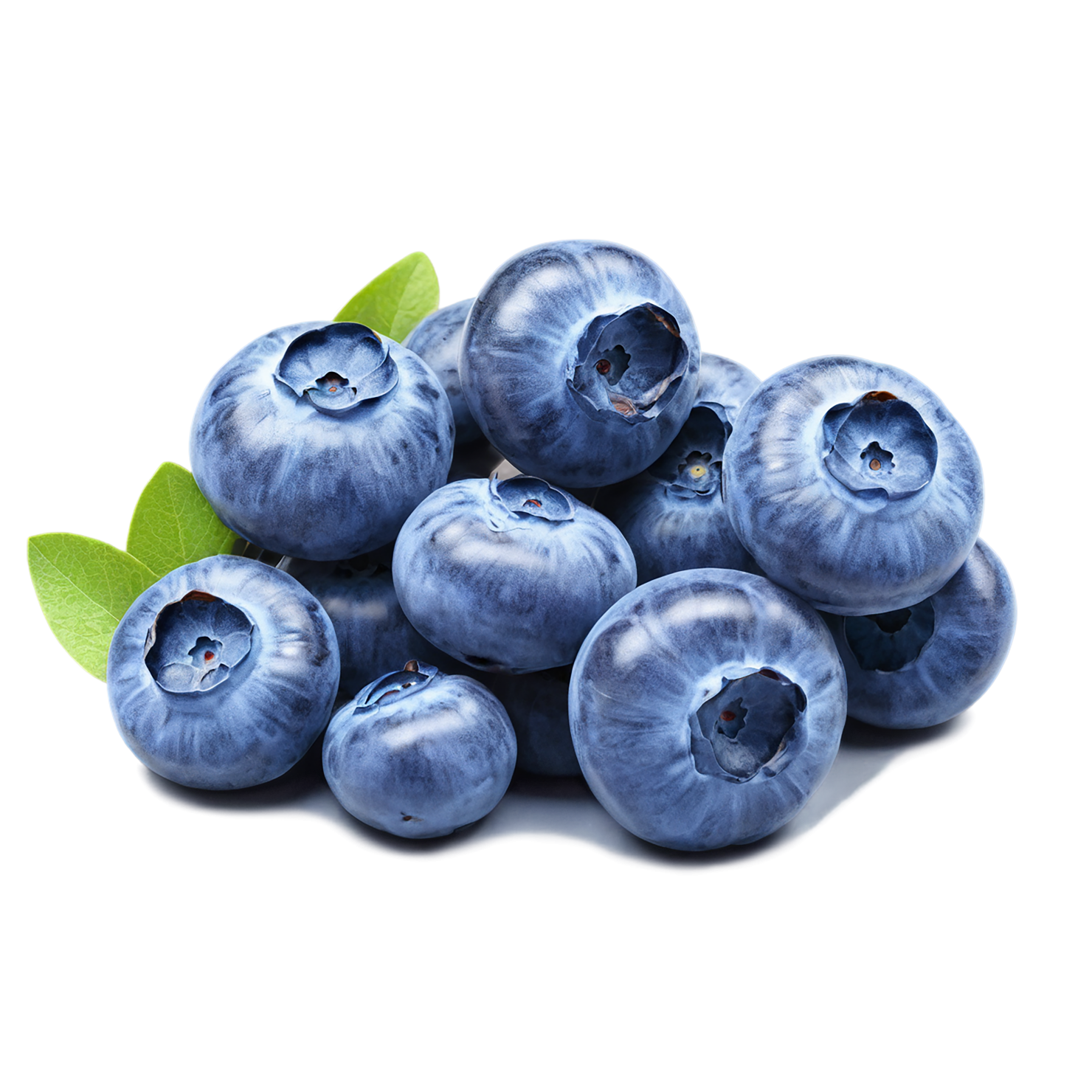 Blueberry fruit isolated on transparent background #529