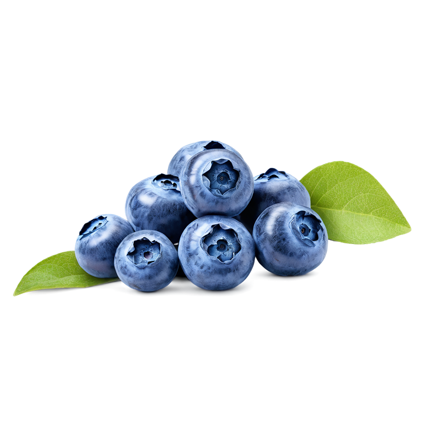 Blueberry fruit isolated on transparent background #530