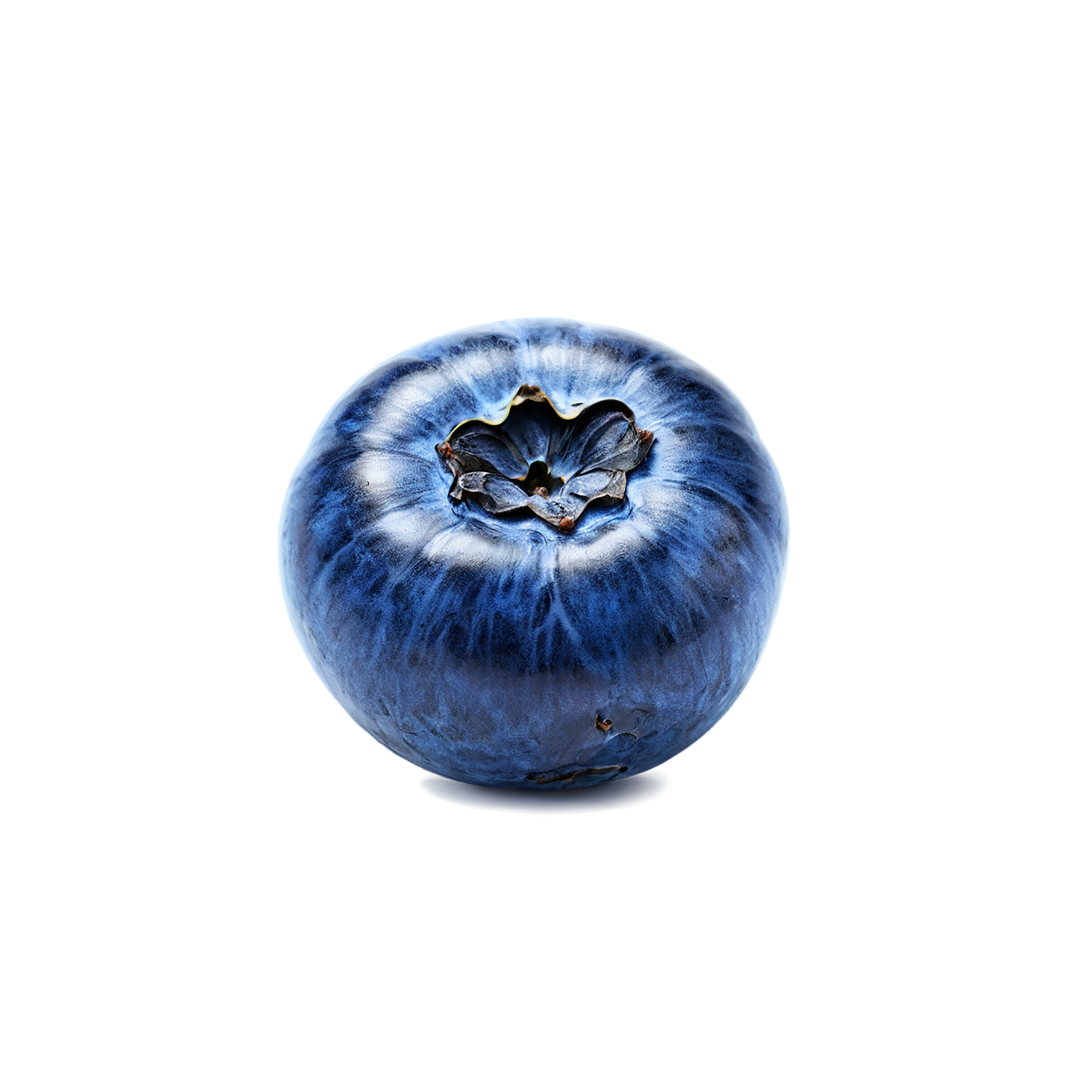 Blueberry fruit isolated on transparent background #537