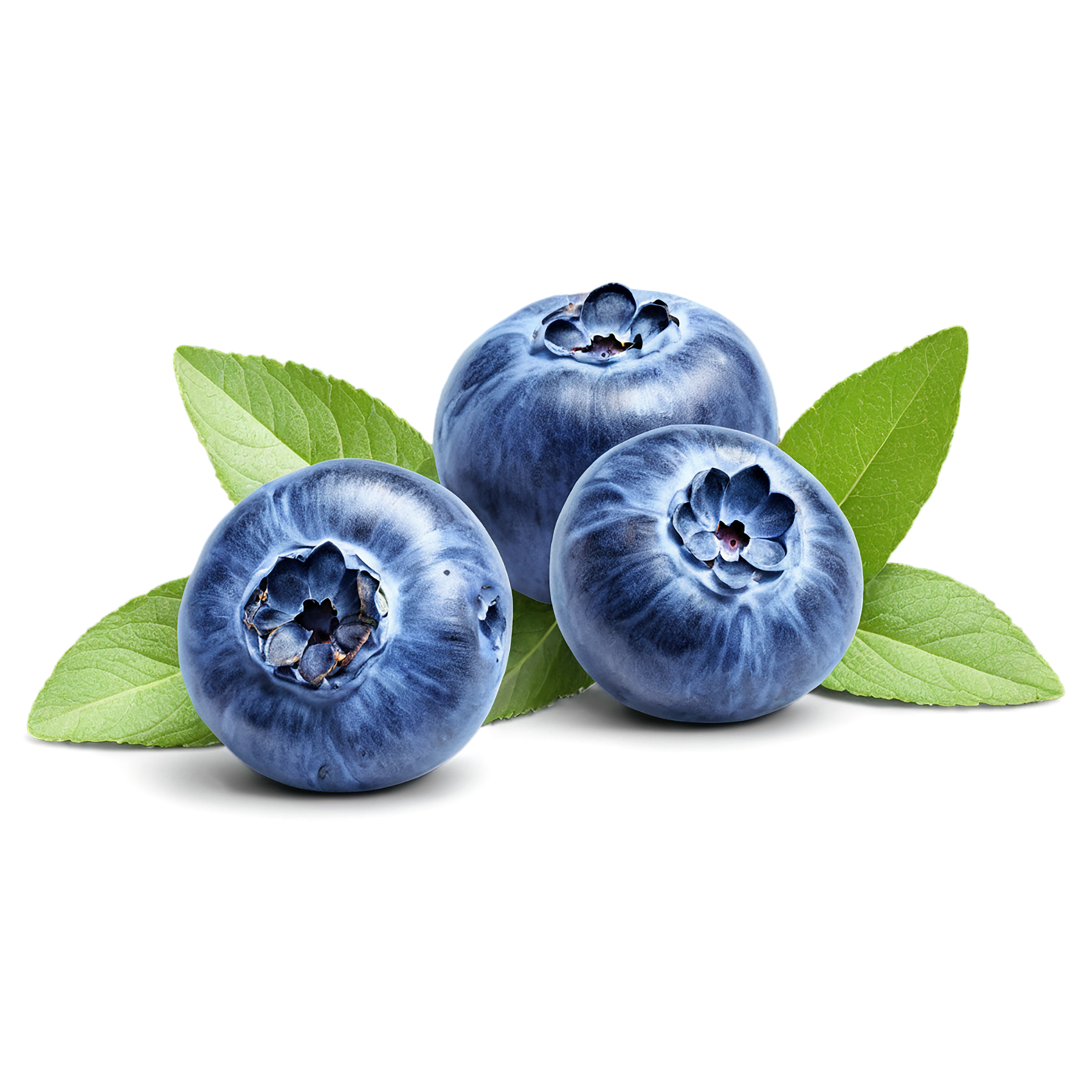 Blueberry fruit isolated on transparent background #540