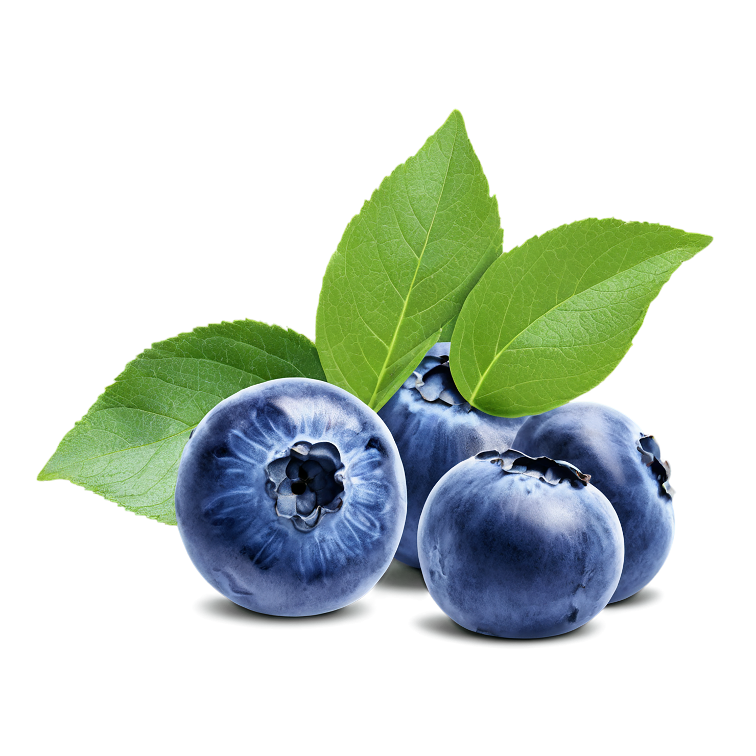 Blueberry fruit isolated on transparent background #550
