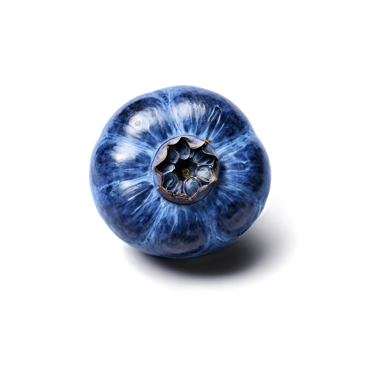 Blueberry fruit isolated on transparent background #556