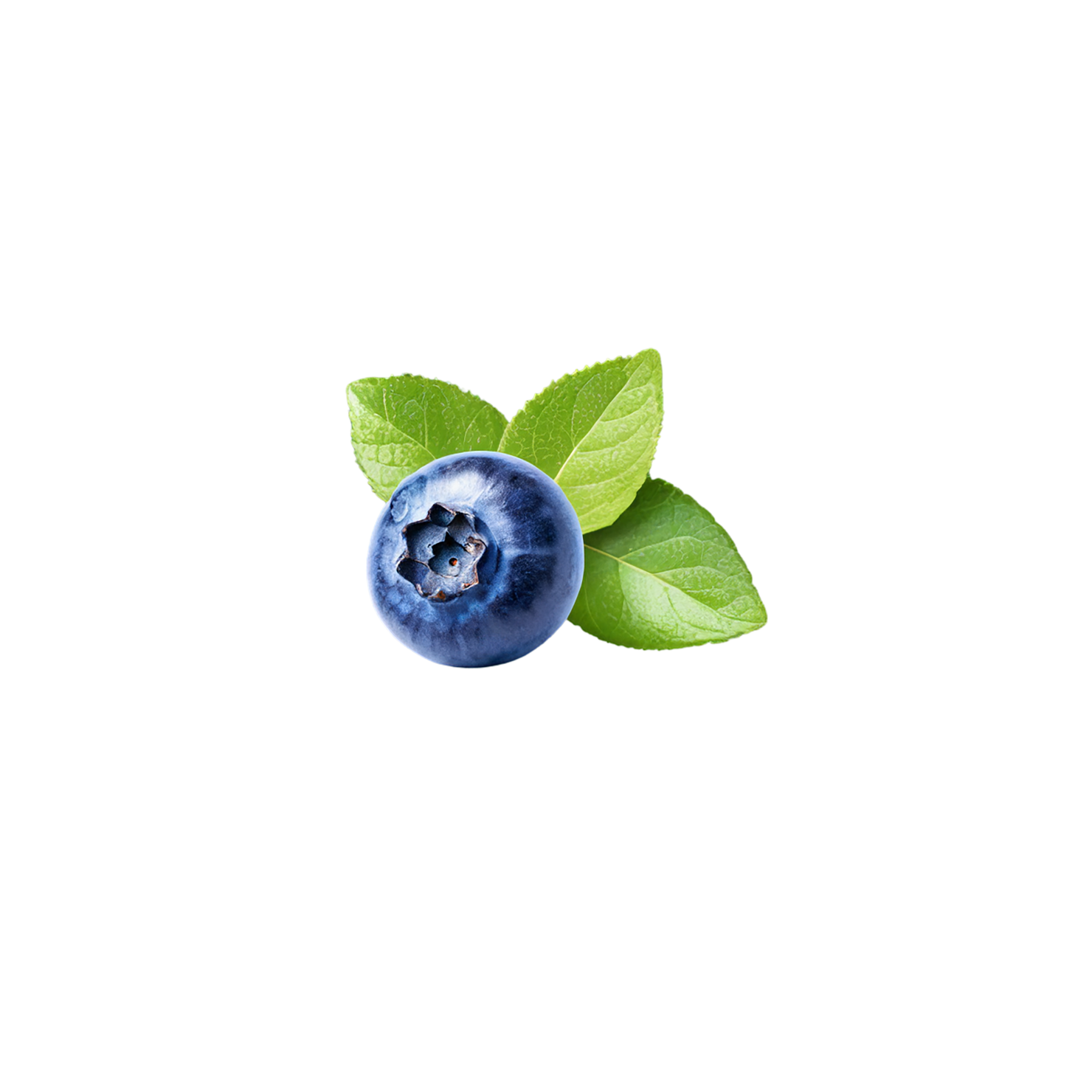 Blueberry fruit isolated on transparent background #566