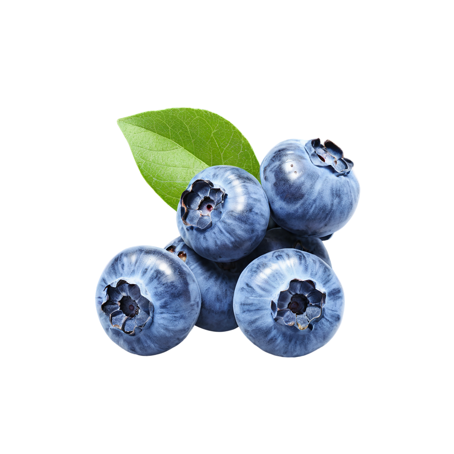Blueberry fruit isolated on transparent background #567
