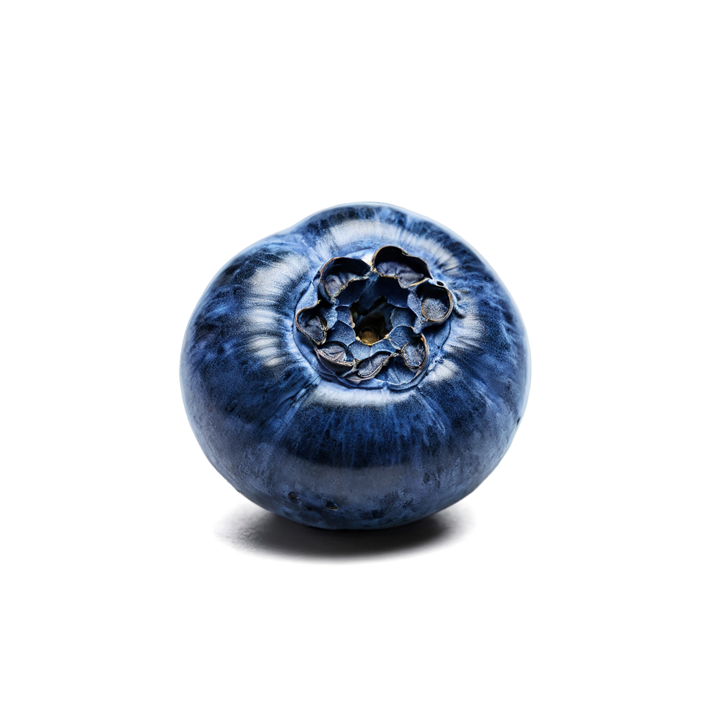Blueberry fruit isolated on transparent background #568