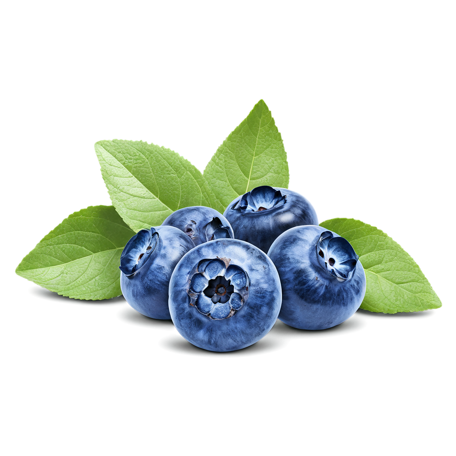Blueberry fruit isolated on transparent background #578