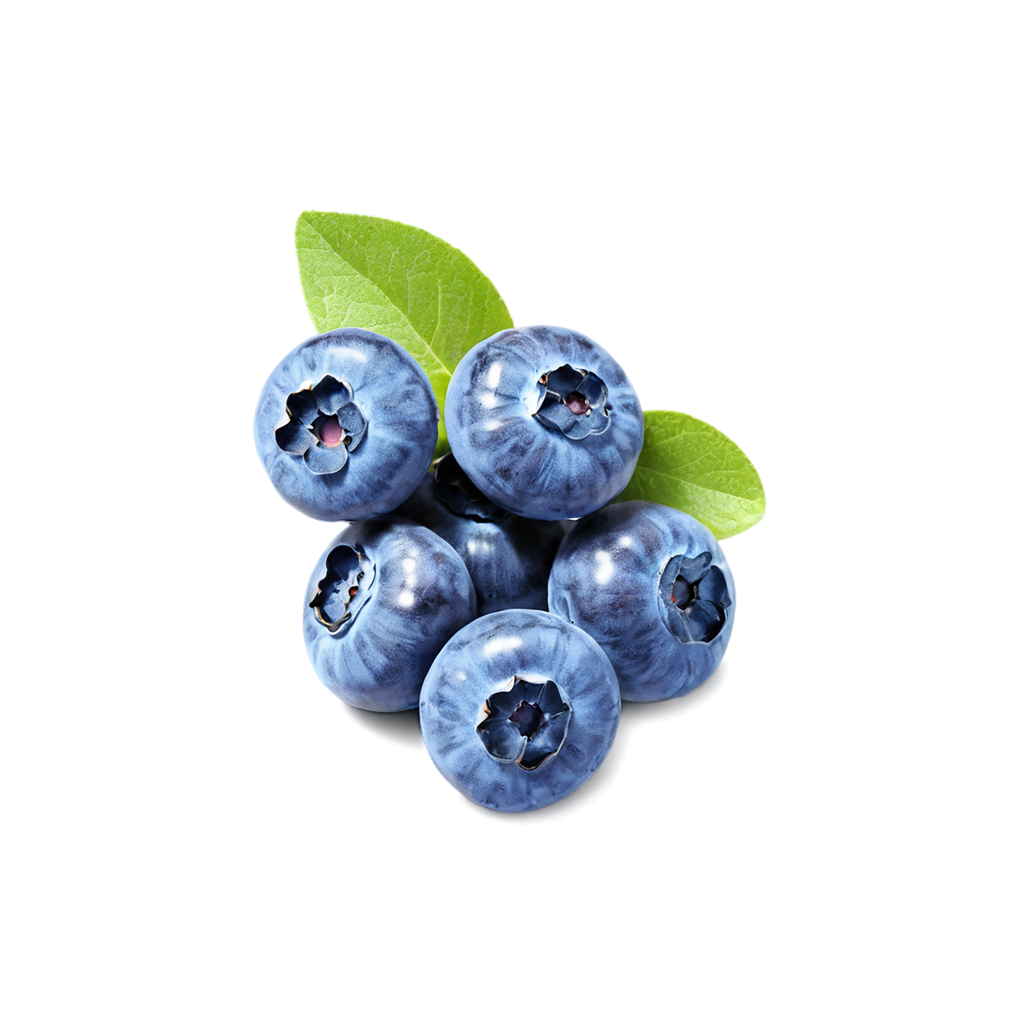 Blueberry fruit isolated on transparent background #584