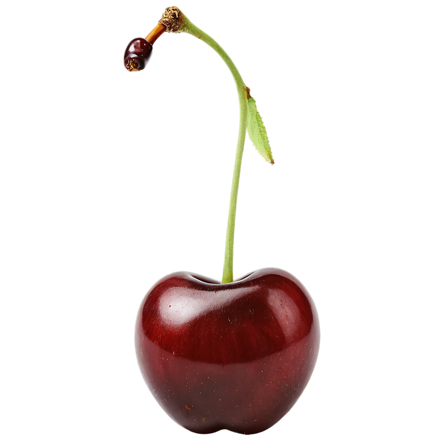 Cherry fruit isolated on transparent background #590