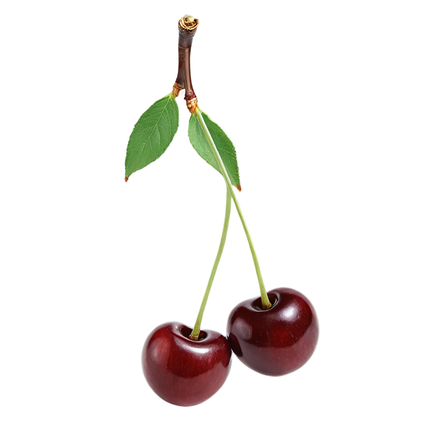 Cherry fruit isolated on transparent background #591