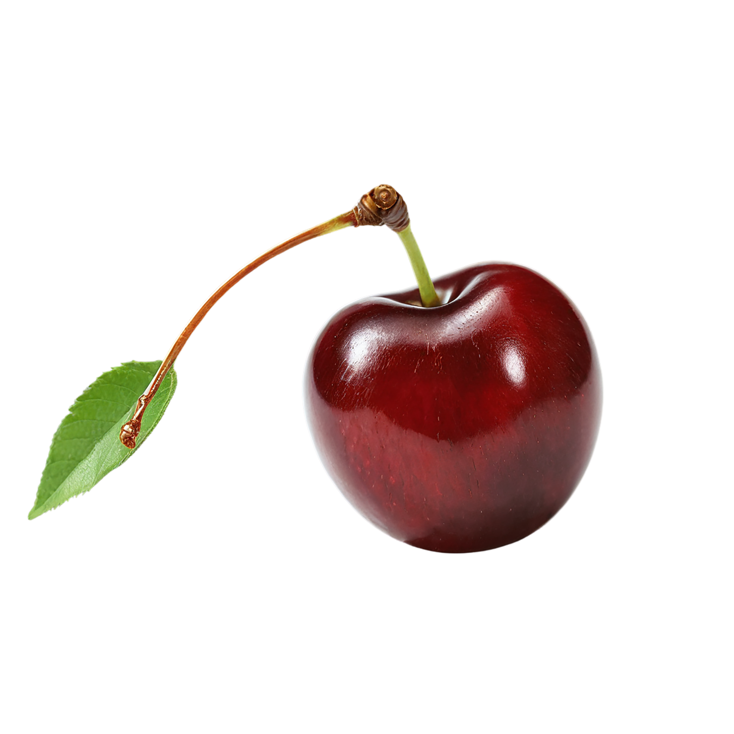 Cherry fruit isolated on transparent background #592