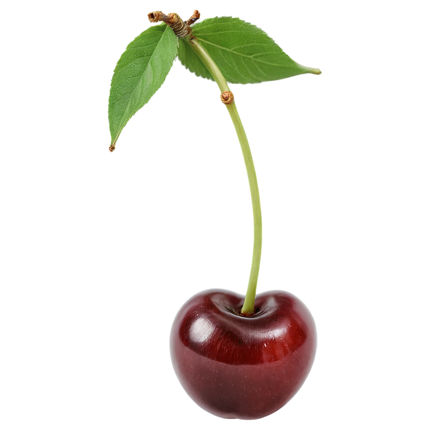 Cherry fruit isolated on transparent background #607
