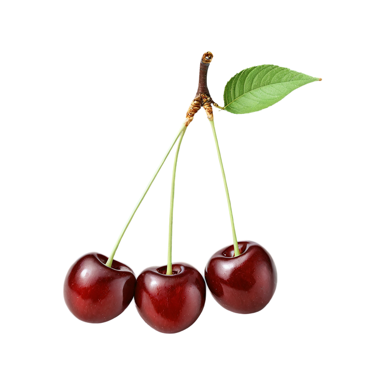 Cherry fruit isolated on transparent background #617