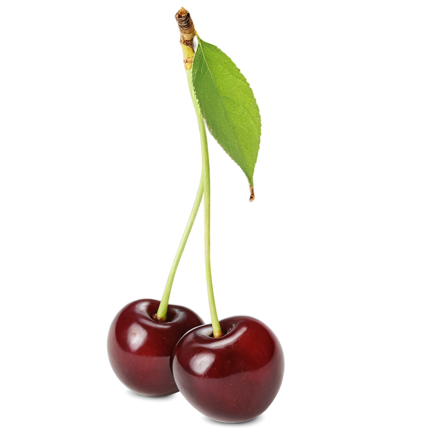 Cherry fruit isolated on transparent background #655