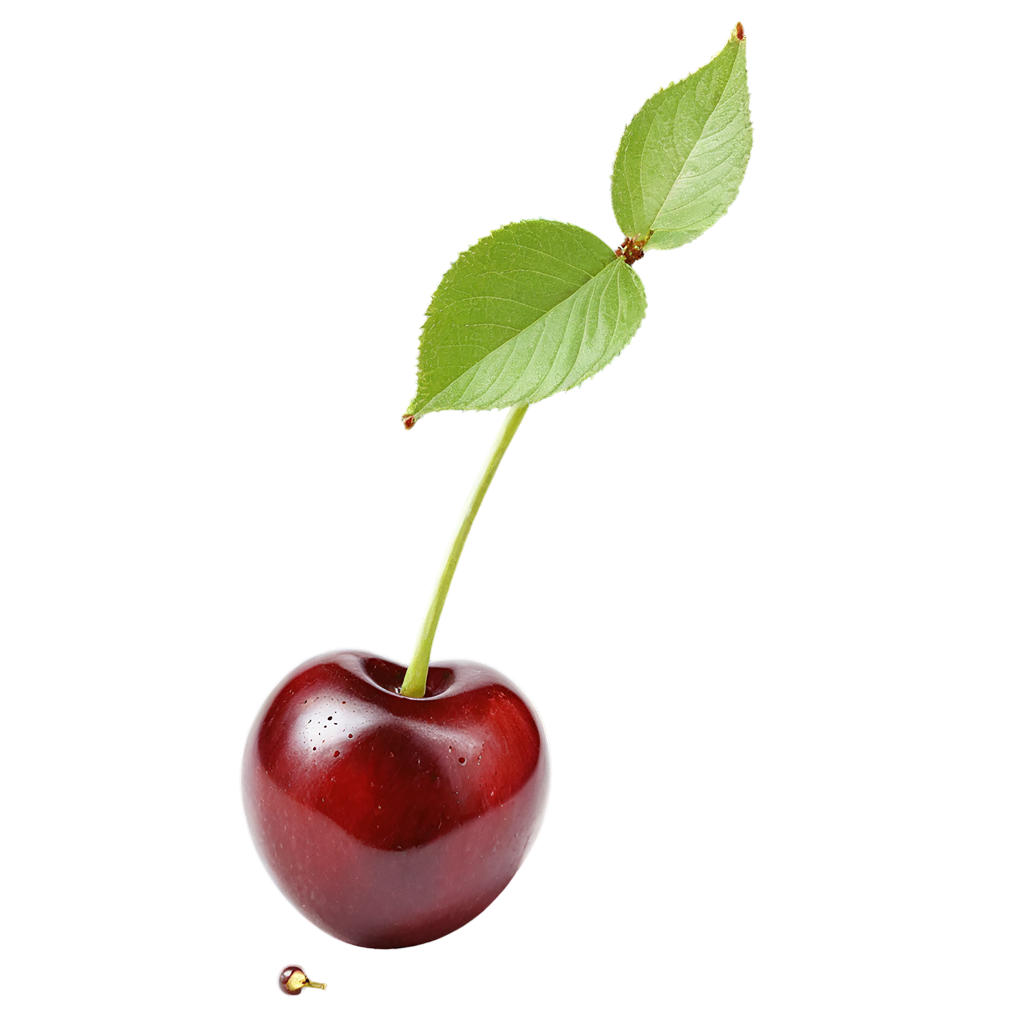 Cherry fruit isolated on transparent background #658