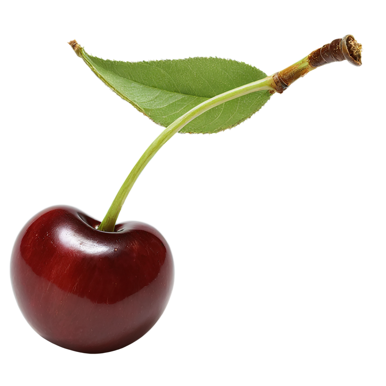 Cherry fruit isolated on transparent background #660