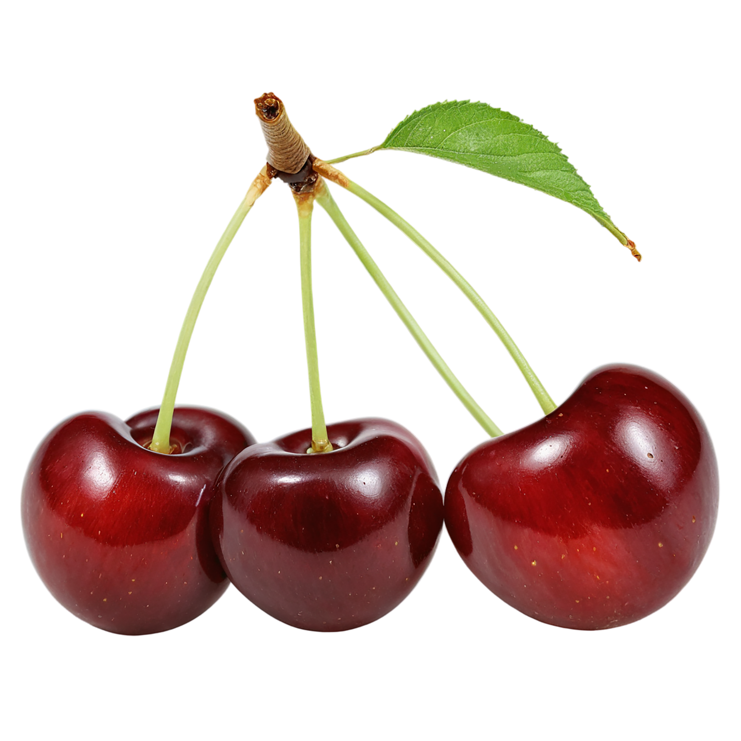 Cherry fruit isolated on transparent background #661