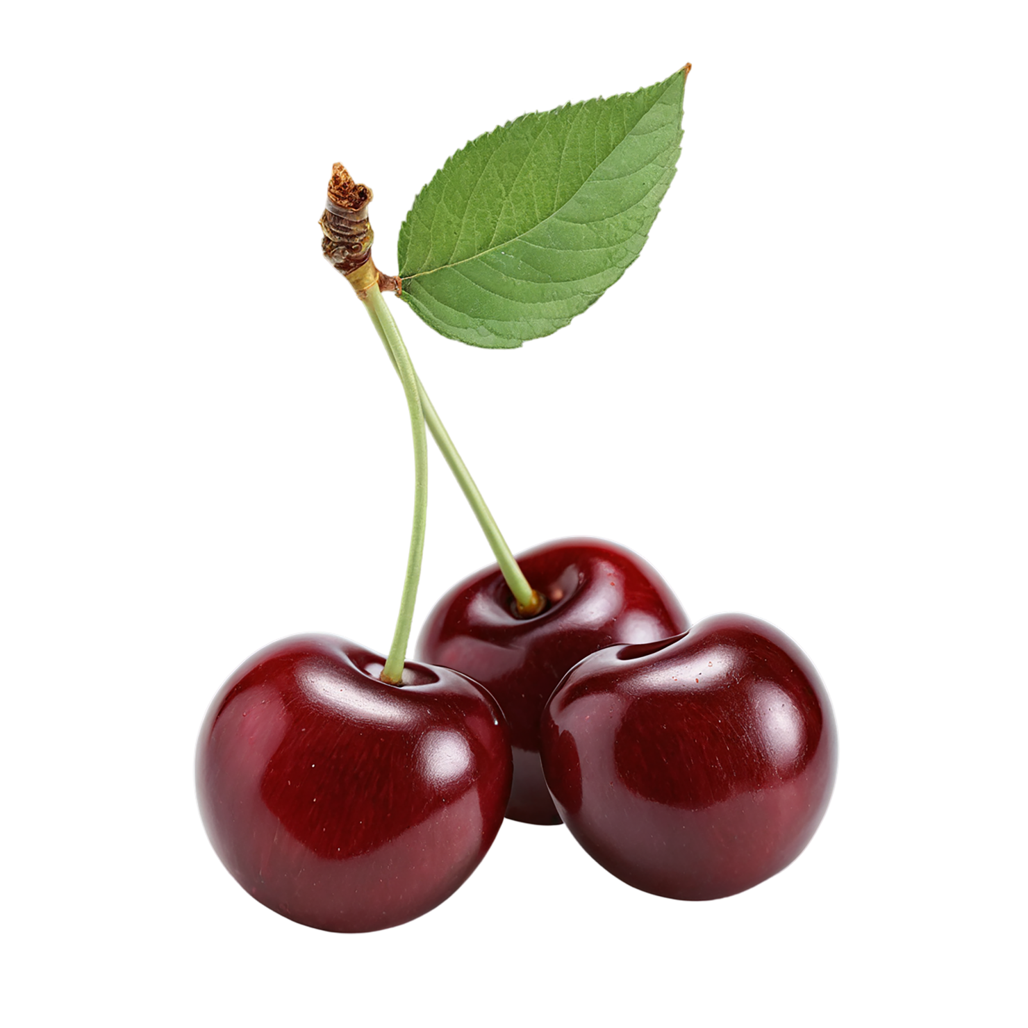 Cherry fruit isolated on transparent background #663
