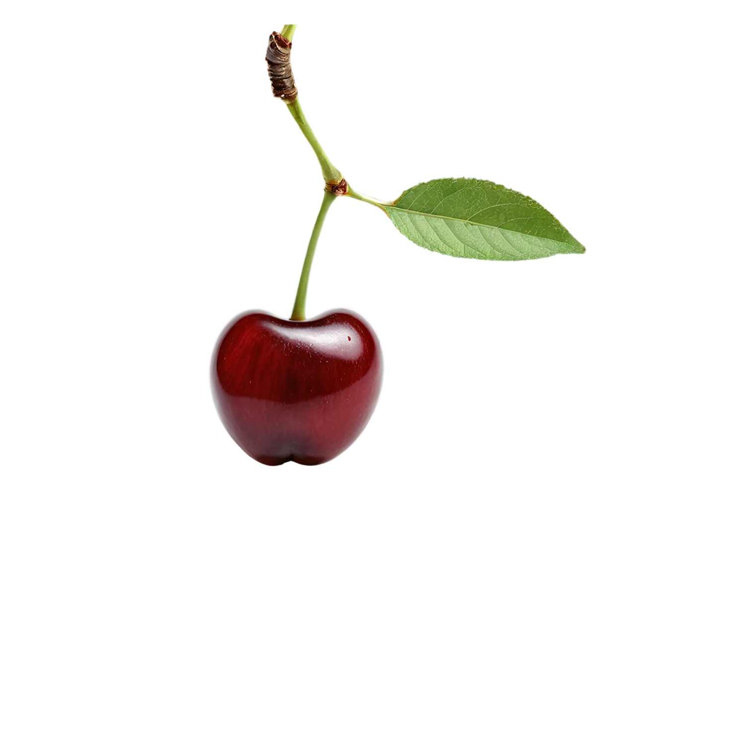 Cherry fruit isolated on transparent background #665