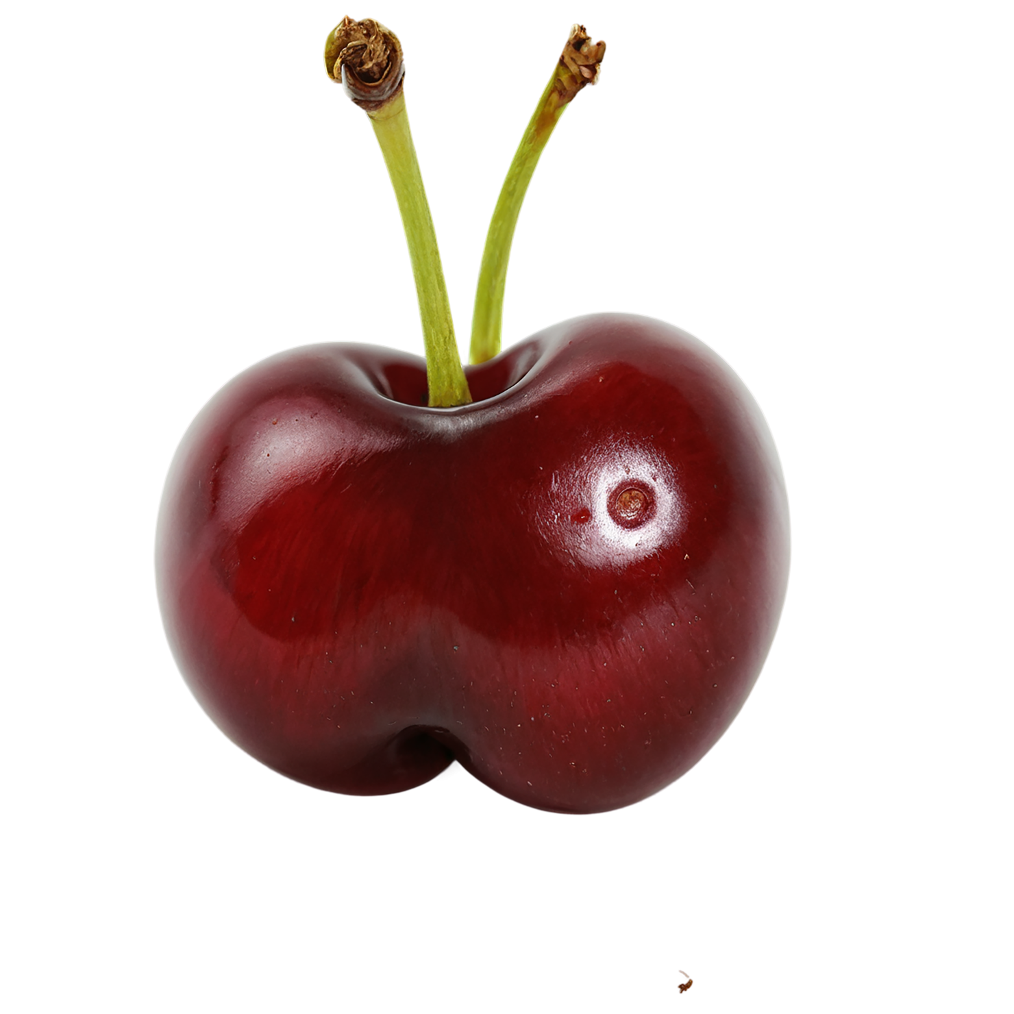Cherry fruit isolated on transparent background #668