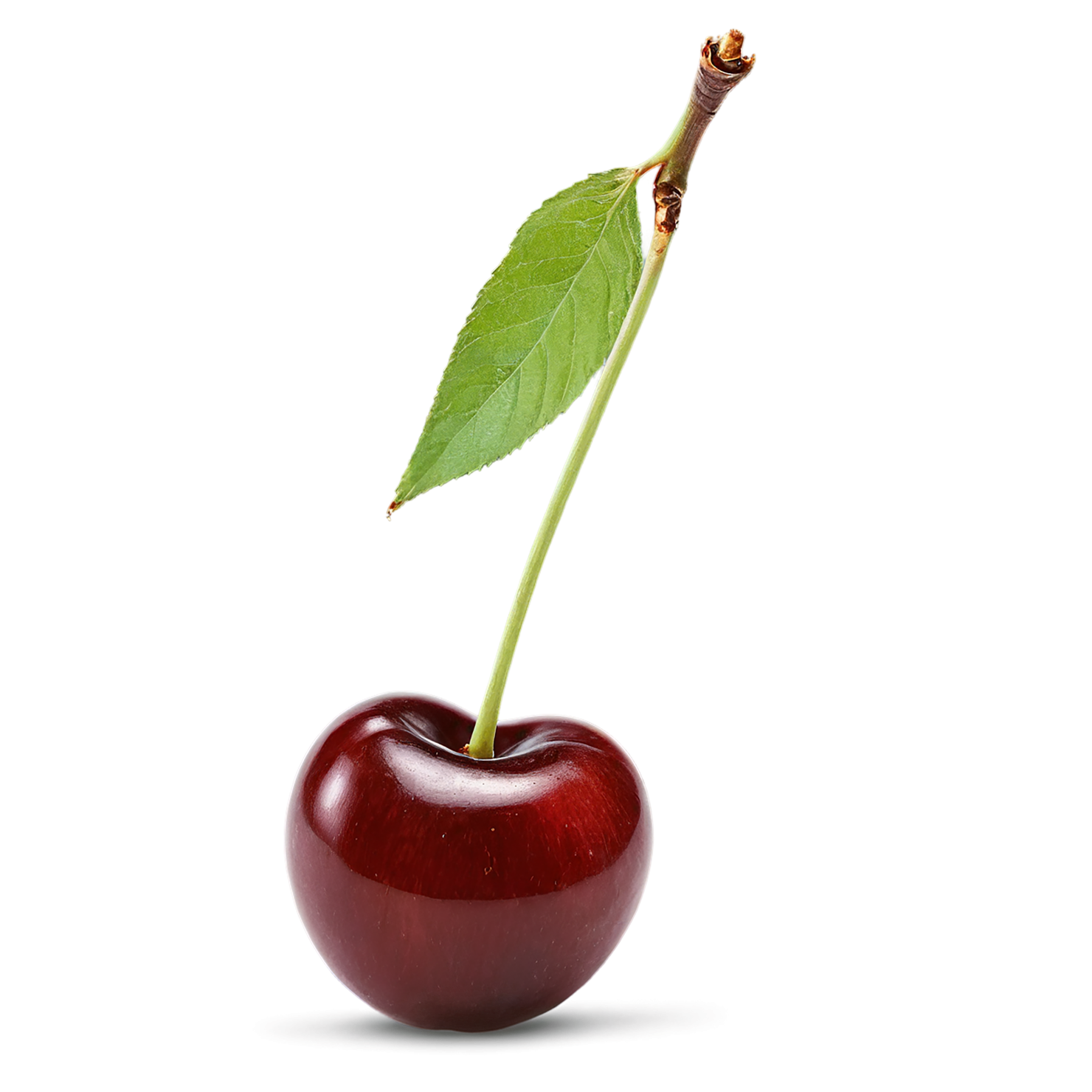 Cherry fruit isolated on transparent background #673