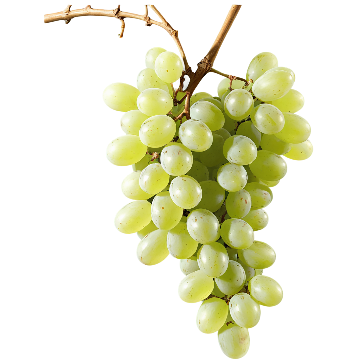 Grapes fruit isolated on transparent background #690