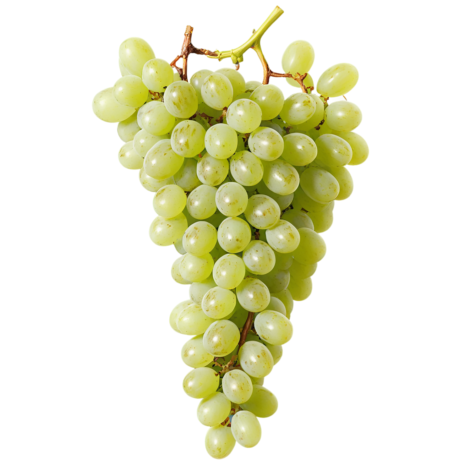 Grapes fruit isolated on transparent background #693