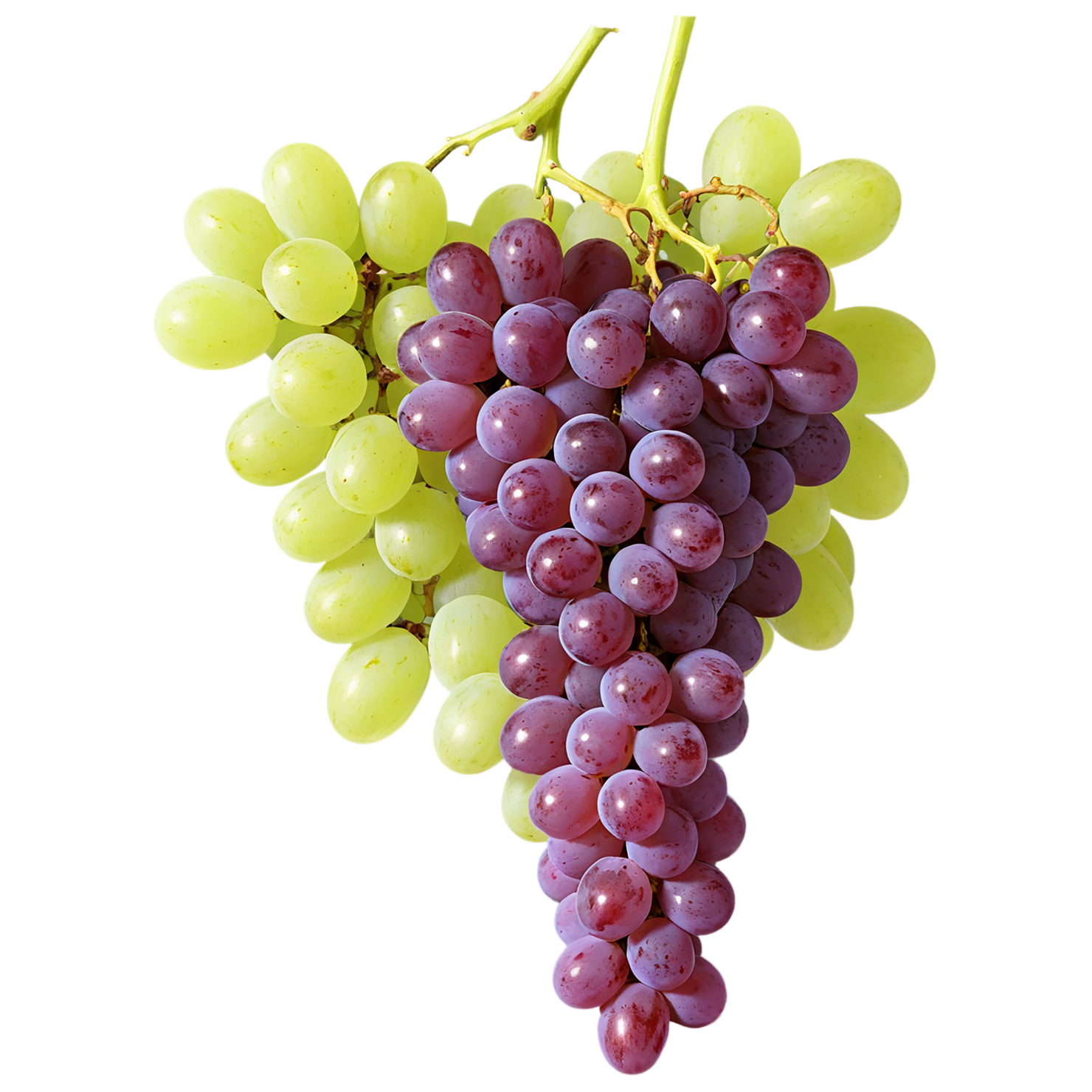 Grapes fruit isolated on transparent background #696