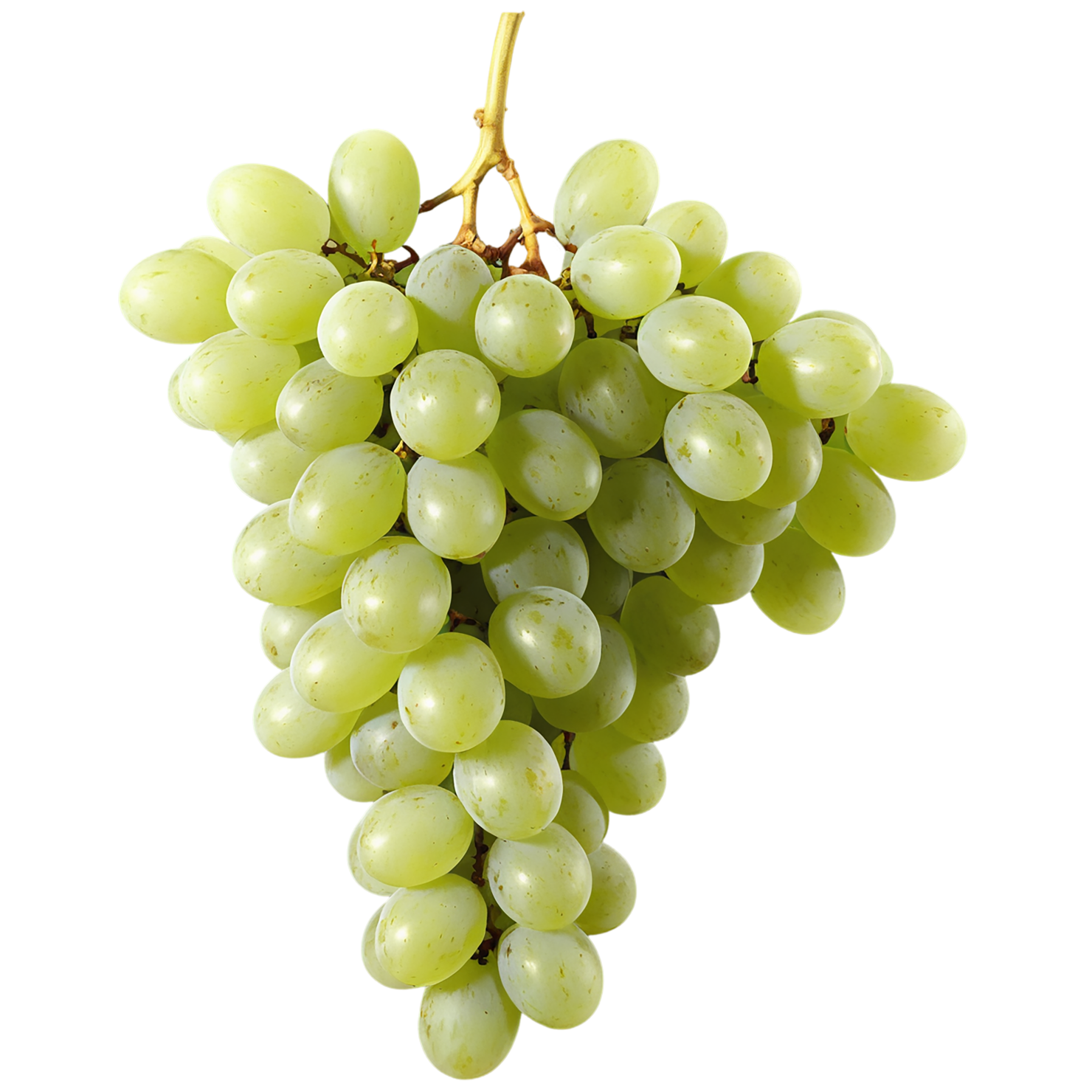 Grapes fruit isolated on transparent background #698