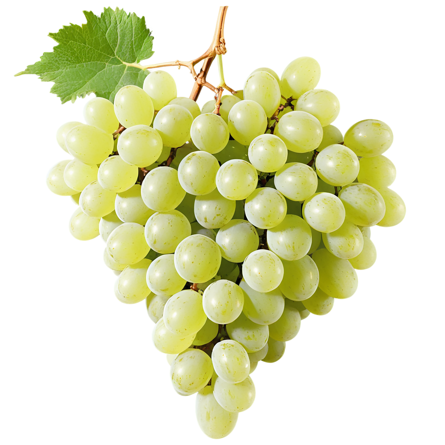 Grapes fruit isolated on transparent background #699