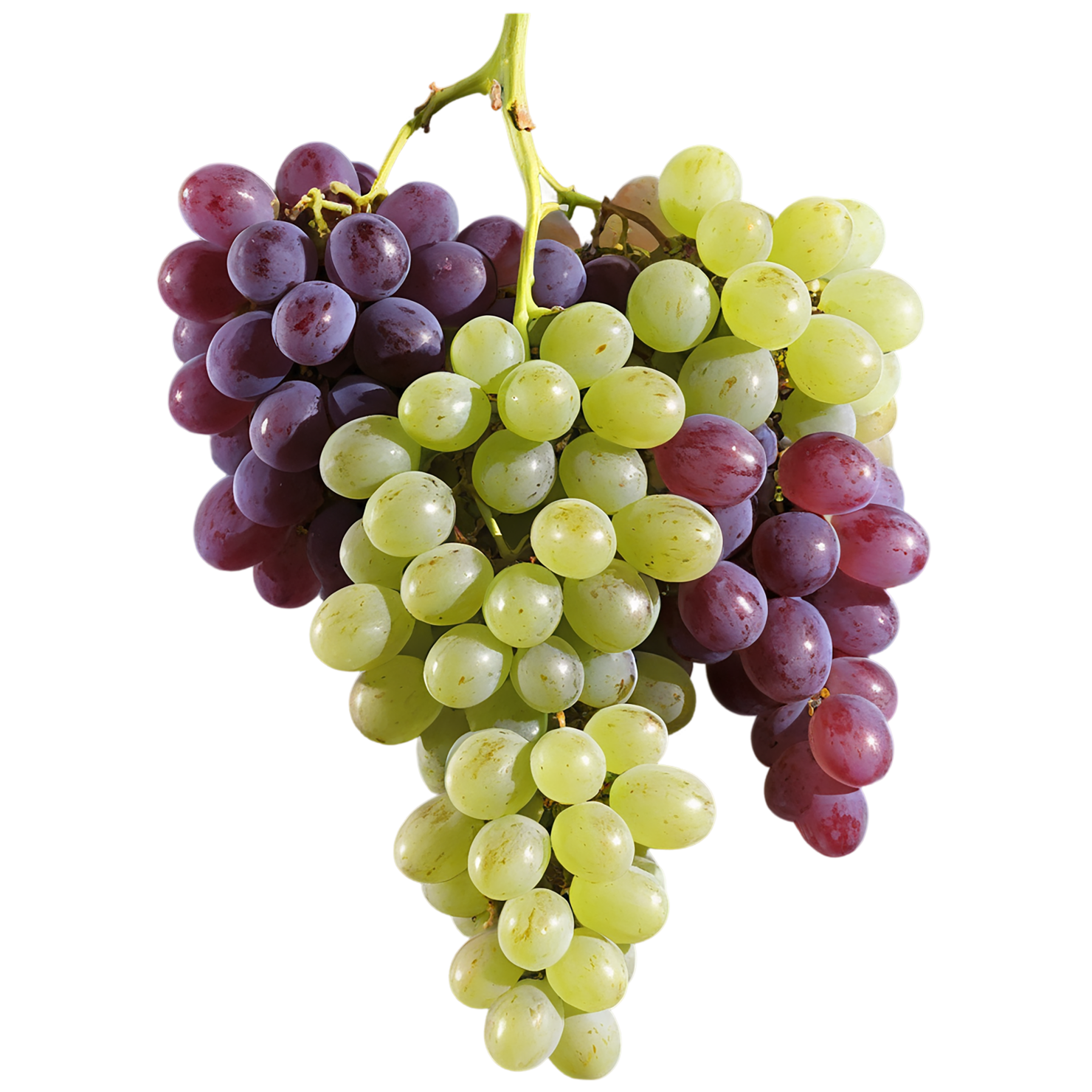 Grapes fruit isolated on transparent background #701