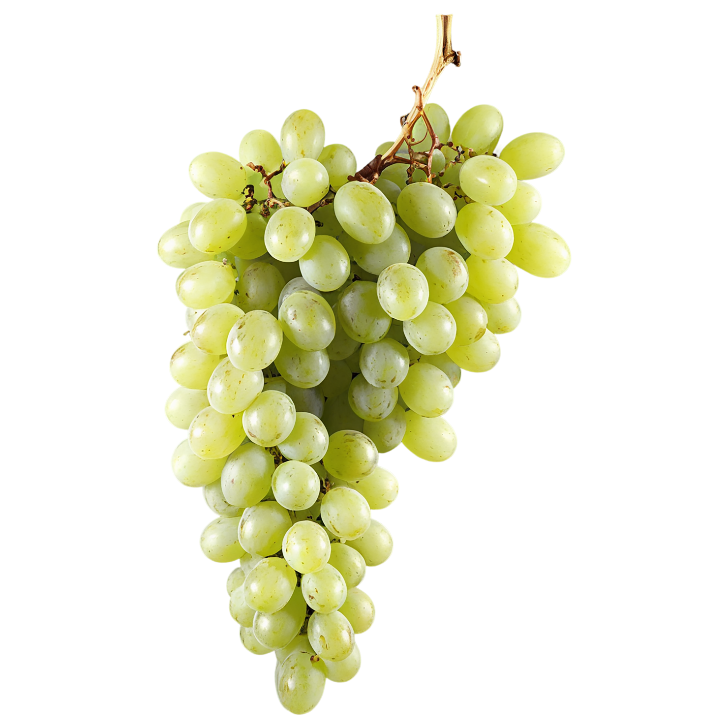 Grapes fruit isolated on transparent background #703