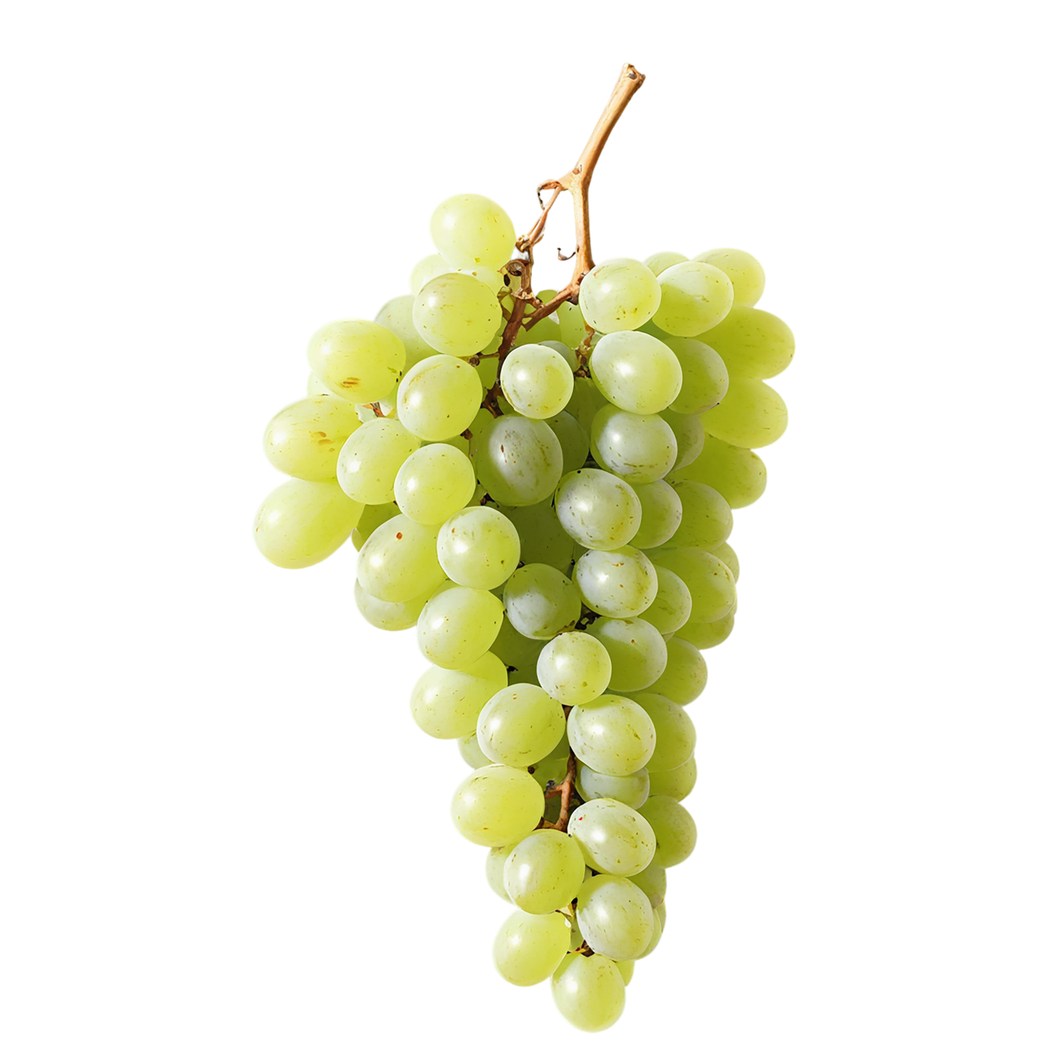 Grapes fruit isolated on transparent background #704