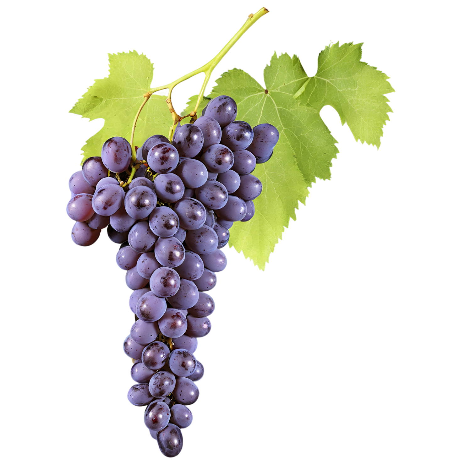 Grapes fruit isolated on transparent background #707
