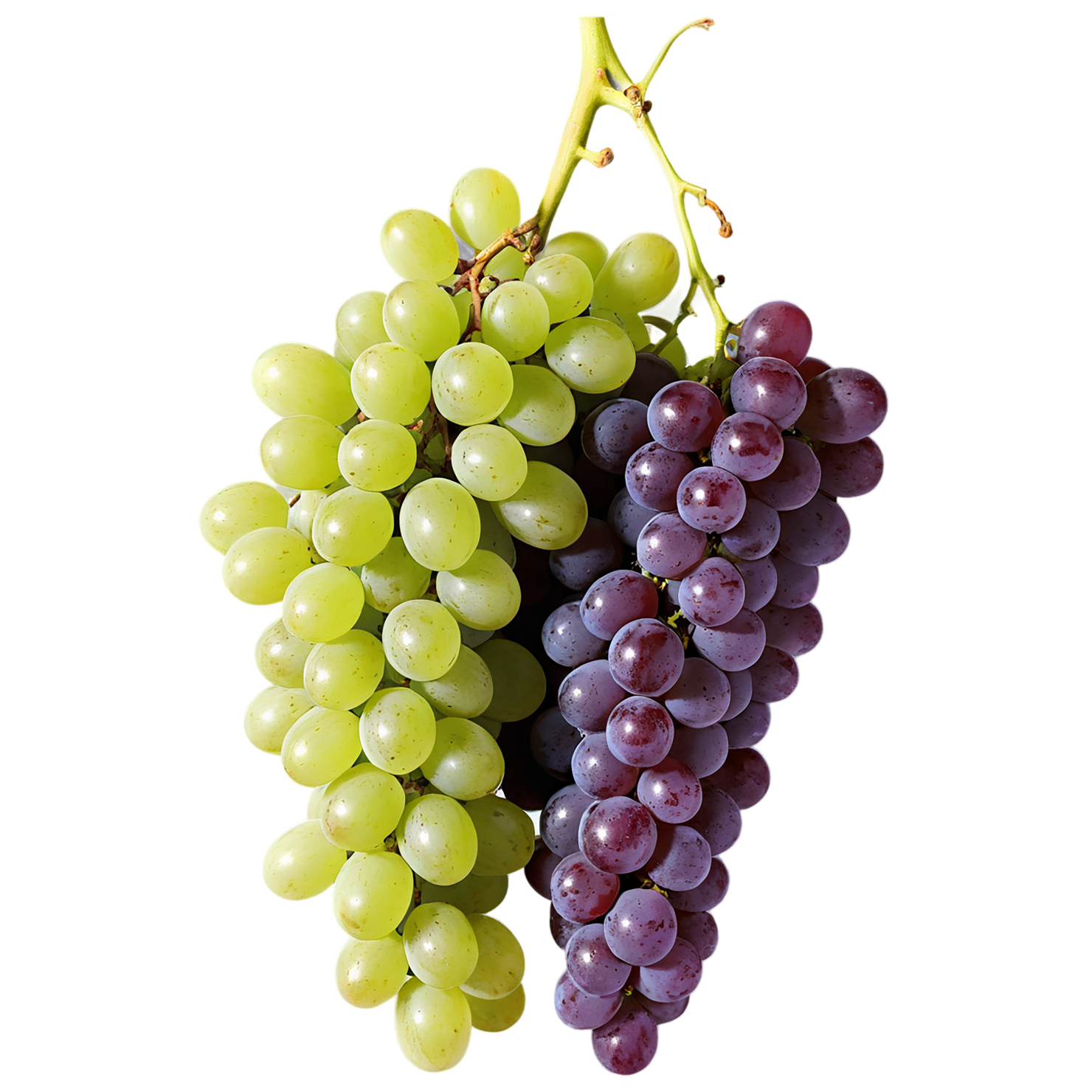 Grapes fruit isolated on transparent background #708