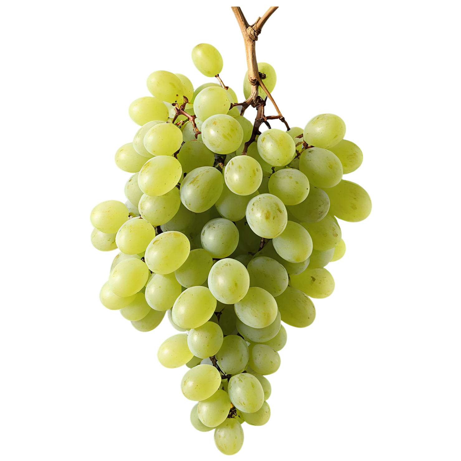 Grapes fruit isolated on transparent background #715