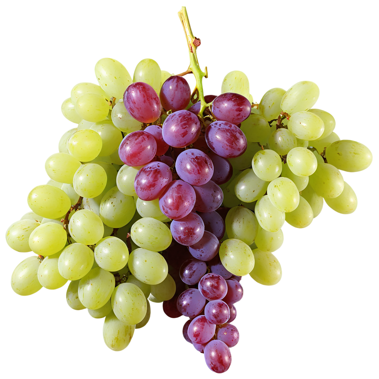 Grapes fruit isolated on transparent background #717
