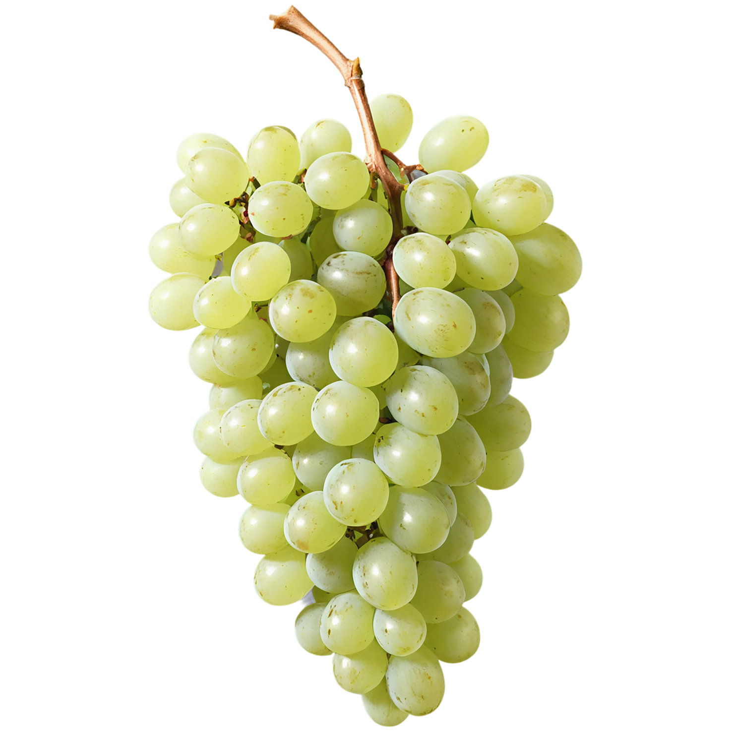 Grapes fruit isolated on transparent background #722