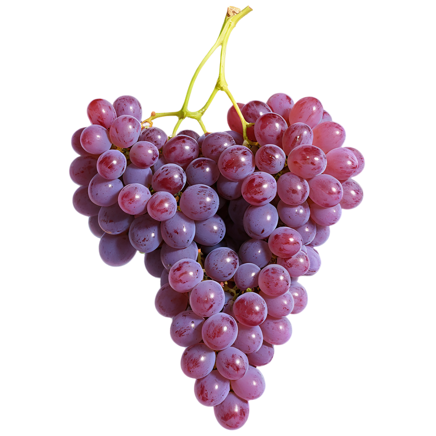 Grapes fruit isolated on transparent background #725
